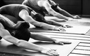Group of people practicing yoga in a line on wooden floor.